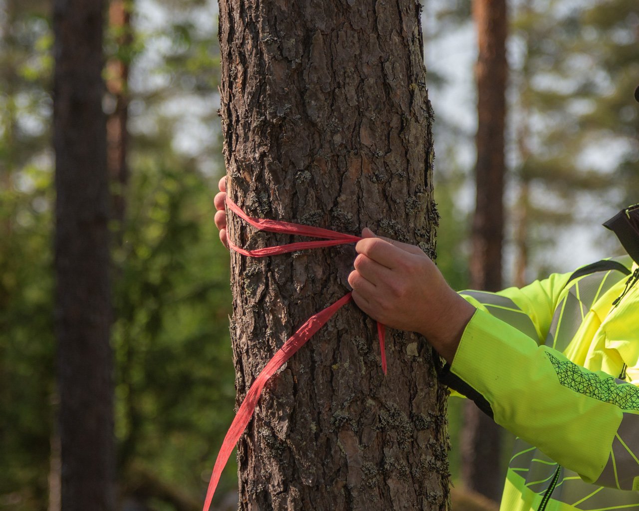 leimikko-punainen-kuitunauha-1280x1024