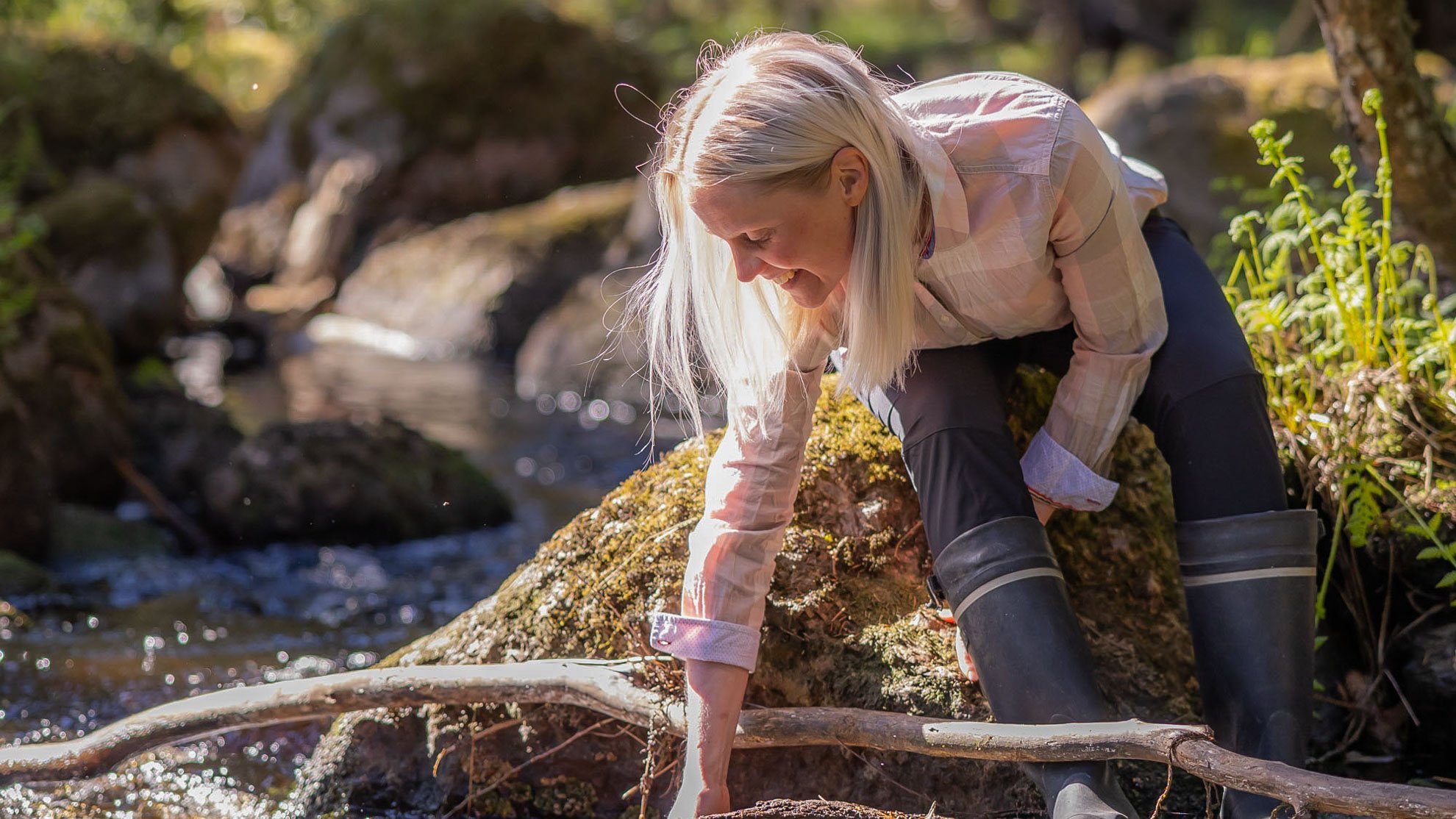 monimuotoisuus-fetured-1980x1114