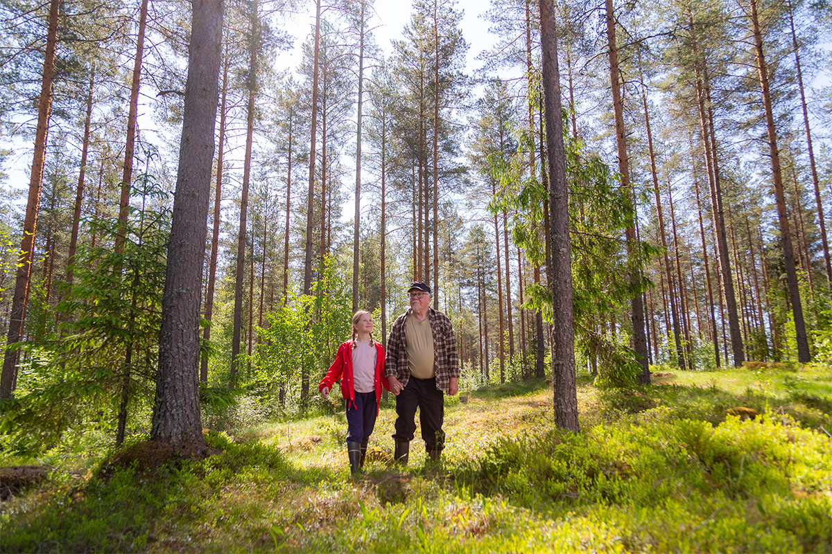 Nuori tyttö ja isoisä kävelevät perintömetsässä ja katselevat ympärilleen.