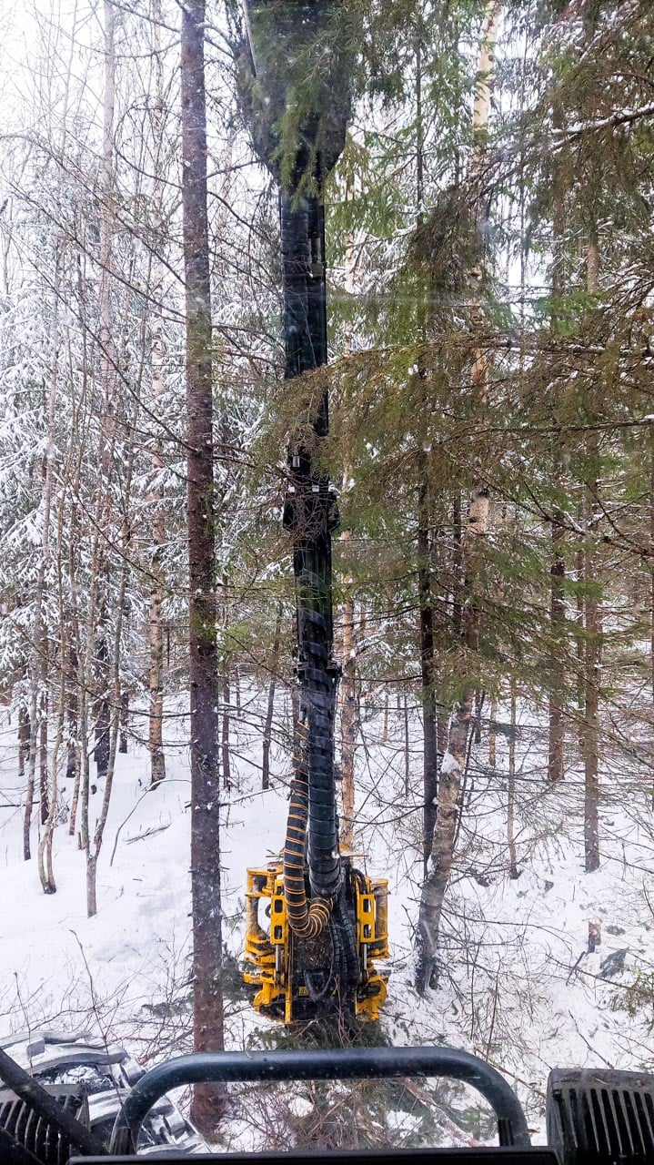 Metsäkoneen koura levossa.