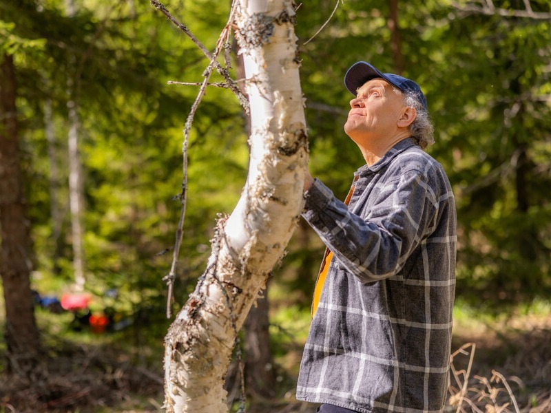 Metsänomistaja seisoo koivun vieressä pitäen tukea puunrungosta ja katsoon ylöspäin.