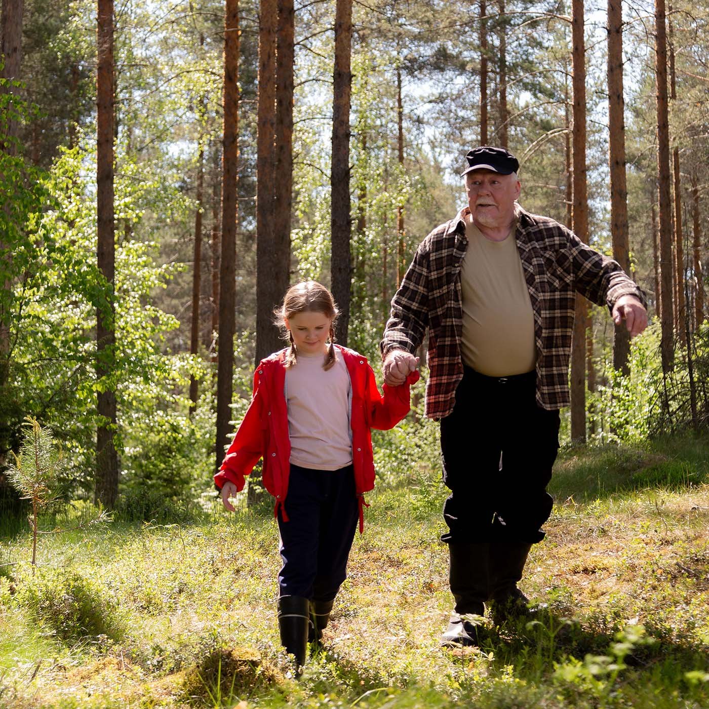 tytto ja vaari metsassa tytto ja vaari metsassa