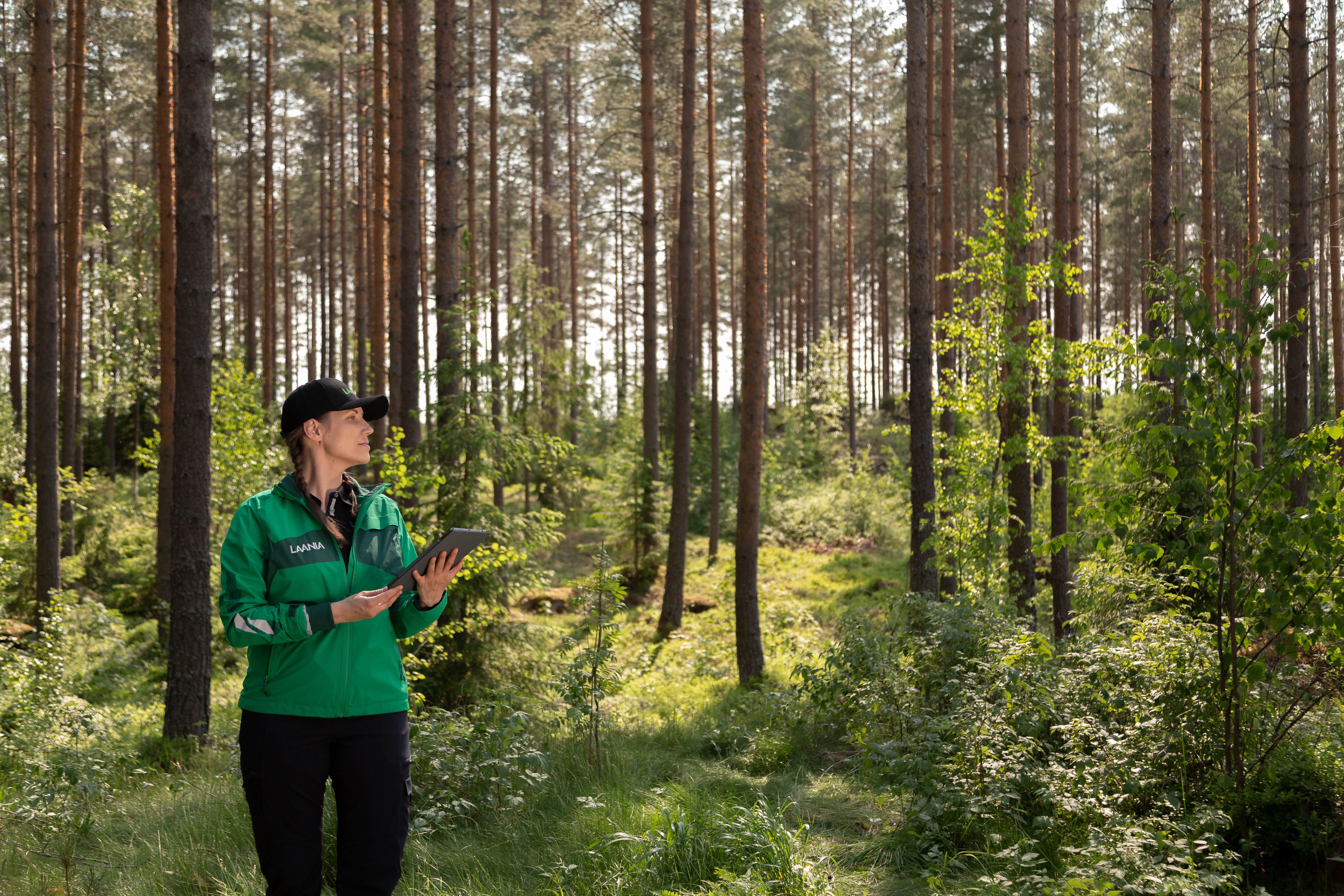 Nainen seisoo metsässä tabletti kädessä, päällään työtakki ja -hattu.