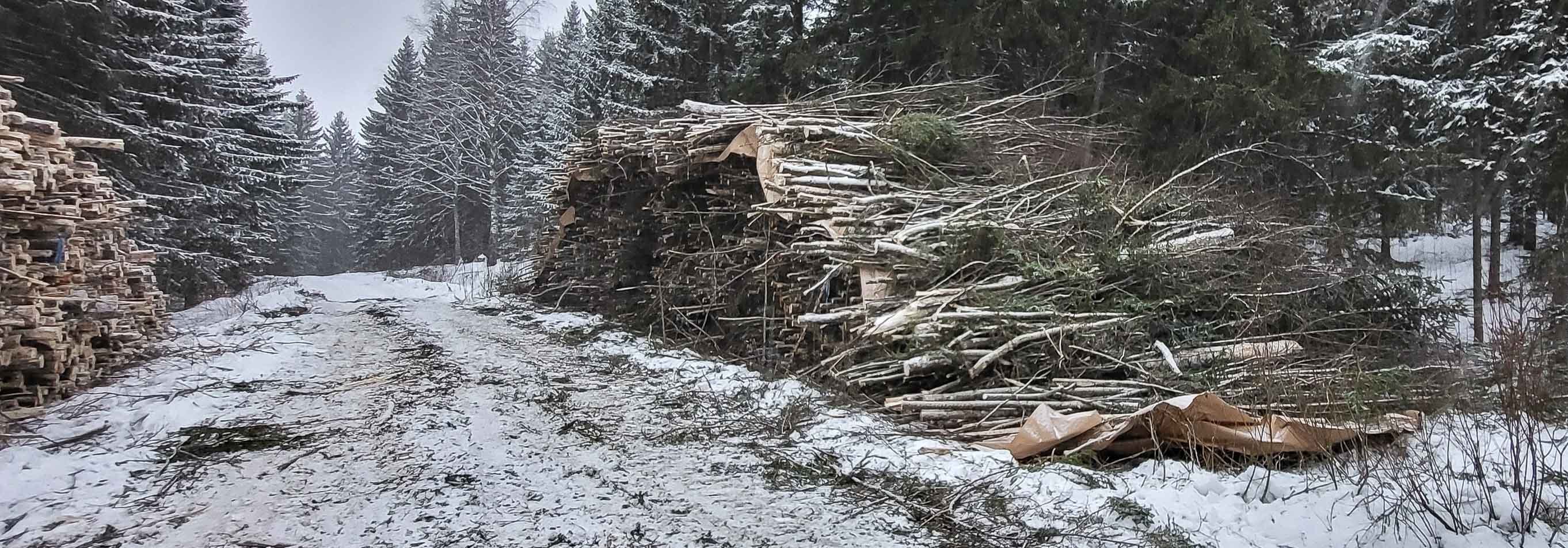 Energiapuun varastopaikka tienvarressa.