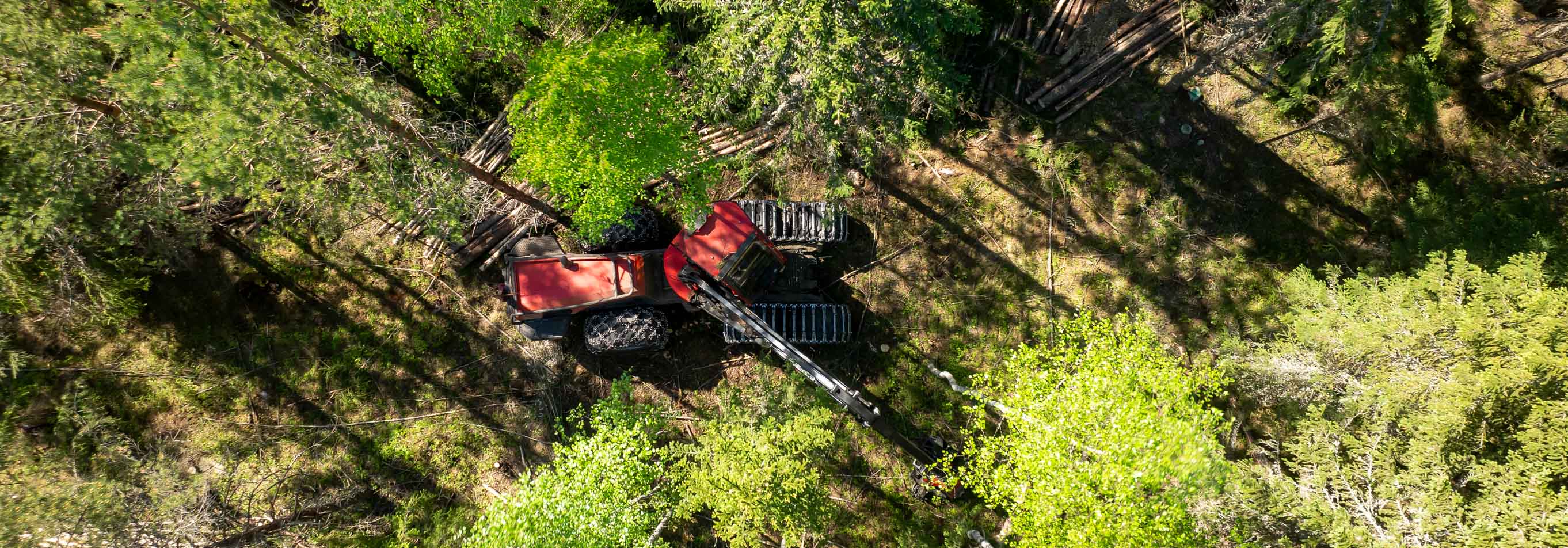 Metsäkone harventamassa metsää.
