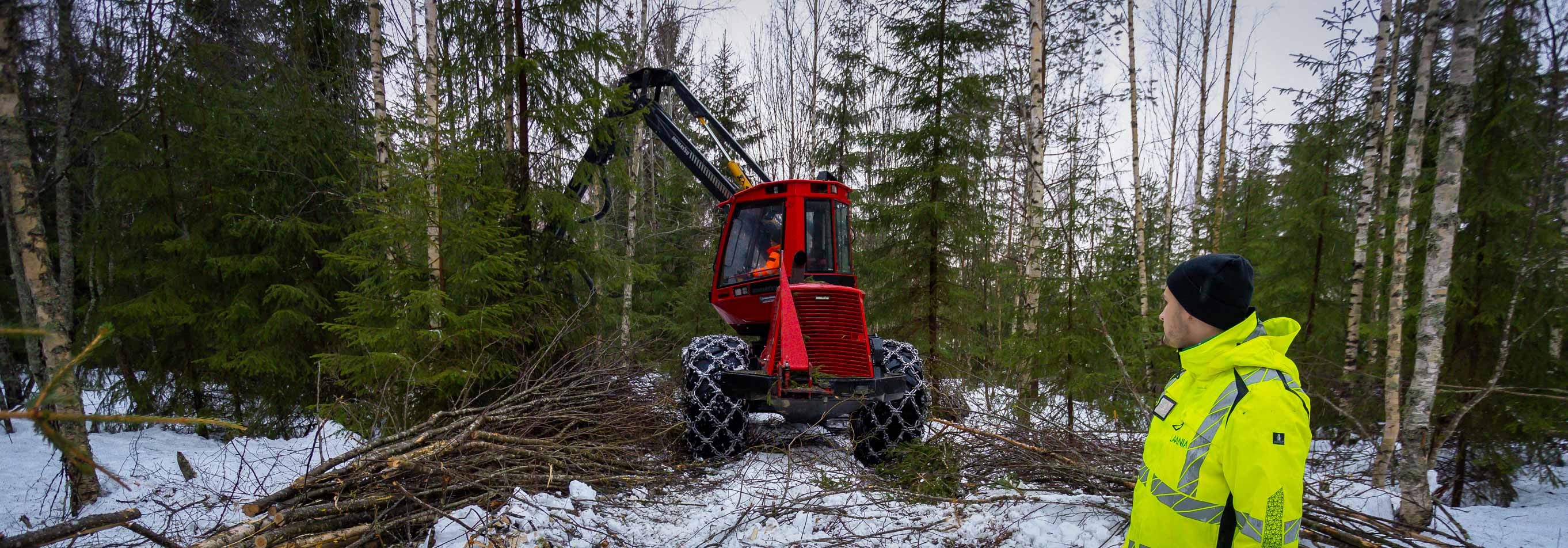 Metsäasiantuntija tarkkailee koneella tehtävää puunkorjuuta.