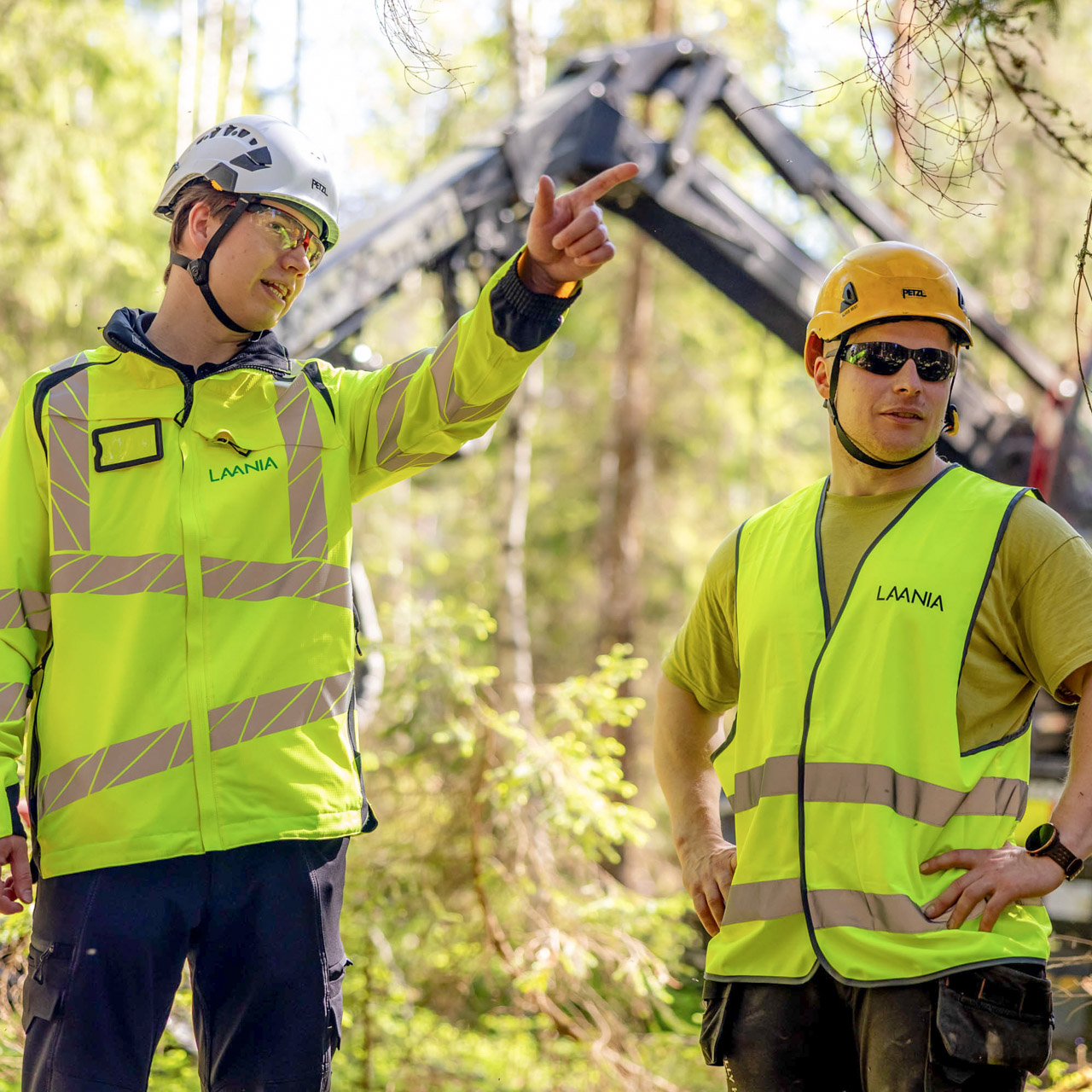 Laanian työntekijä ja metsäkoneenkuljettaja keskustelevat metsässä.