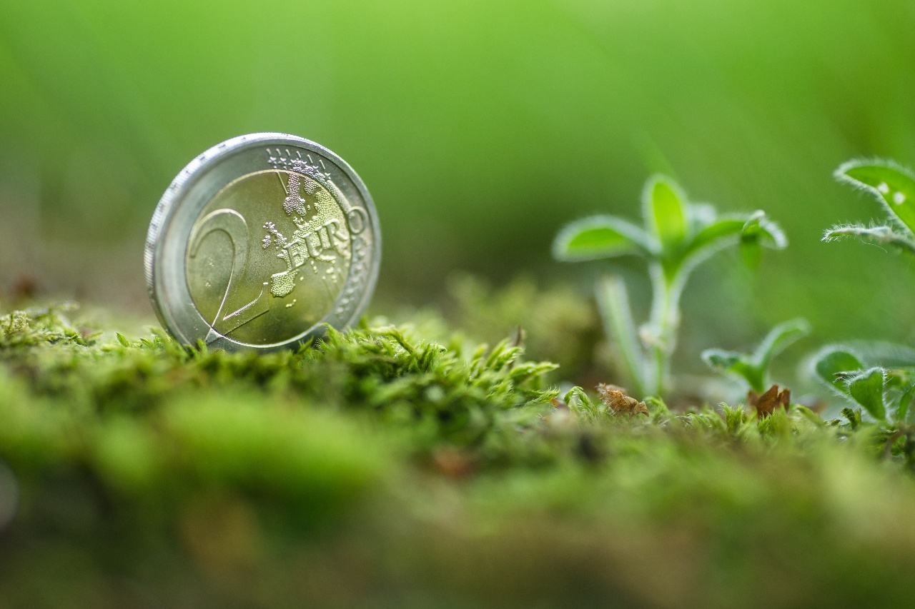 Kahden euron kolikko vihreällä sammaleella.